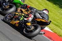 brands-hatch-photographs;brands-no-limits-trackday;cadwell-trackday-photographs;enduro-digital-images;event-digital-images;eventdigitalimages;no-limits-trackdays;peter-wileman-photography;racing-digital-images;trackday-digital-images;trackday-photos